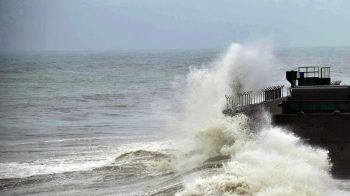 Image 3-17-25 at 7.22 PM